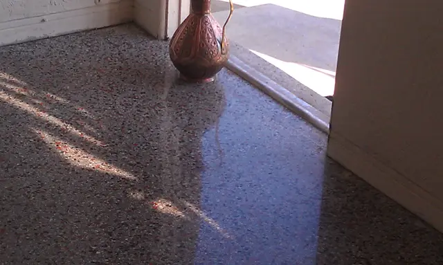 IMAG0071 – Terrazzo Tom Workman
